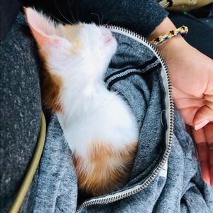 Meet your Posher, Veronica